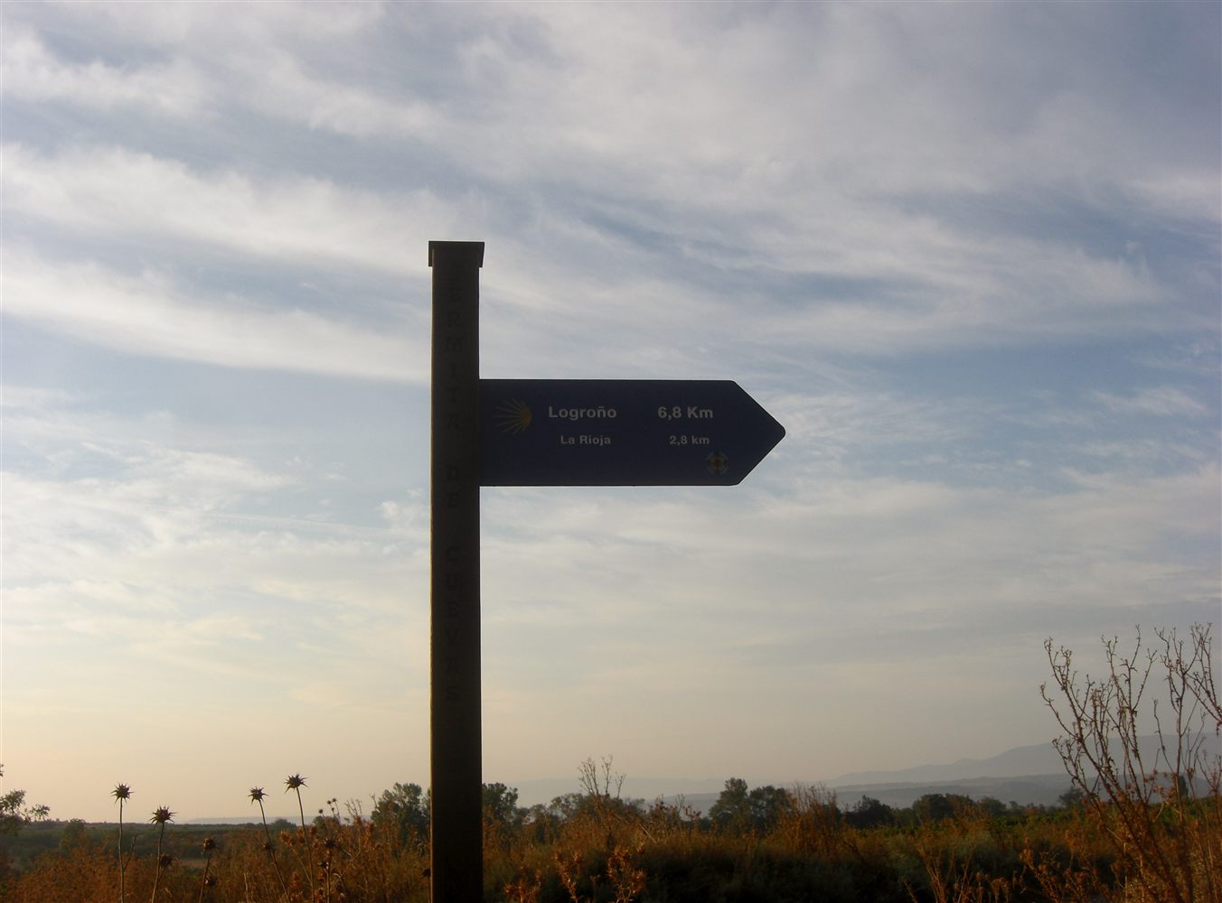 A Camino way sign under a wide sky.