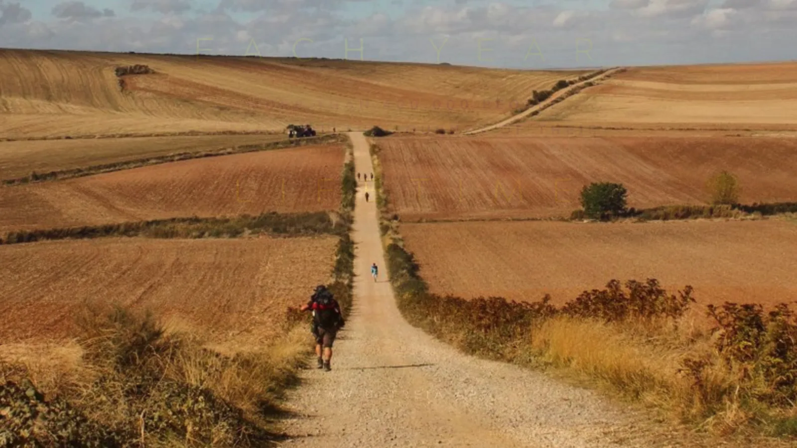 A quiet Camino path through open fields with pilgrims ahead.